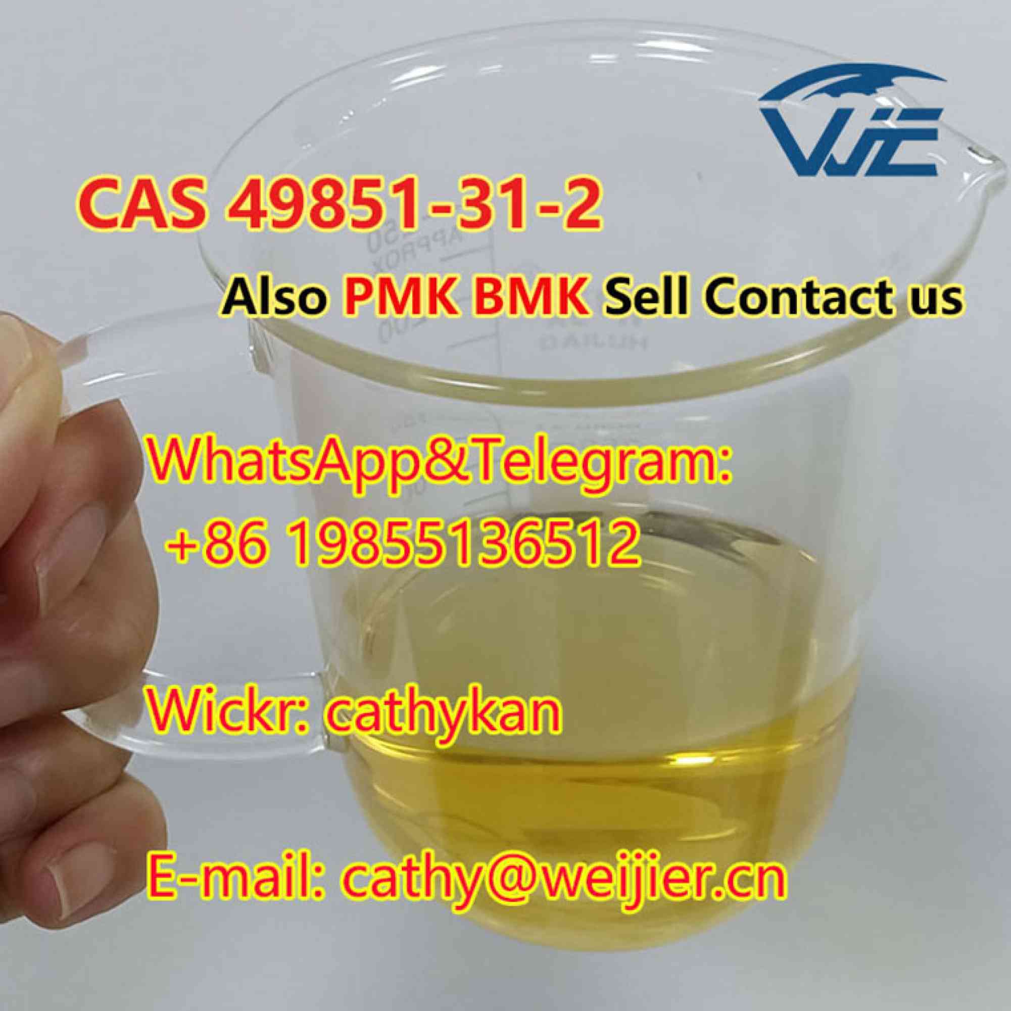 CAS 49851-31-2 High Quality BMK PMK Oil en venta