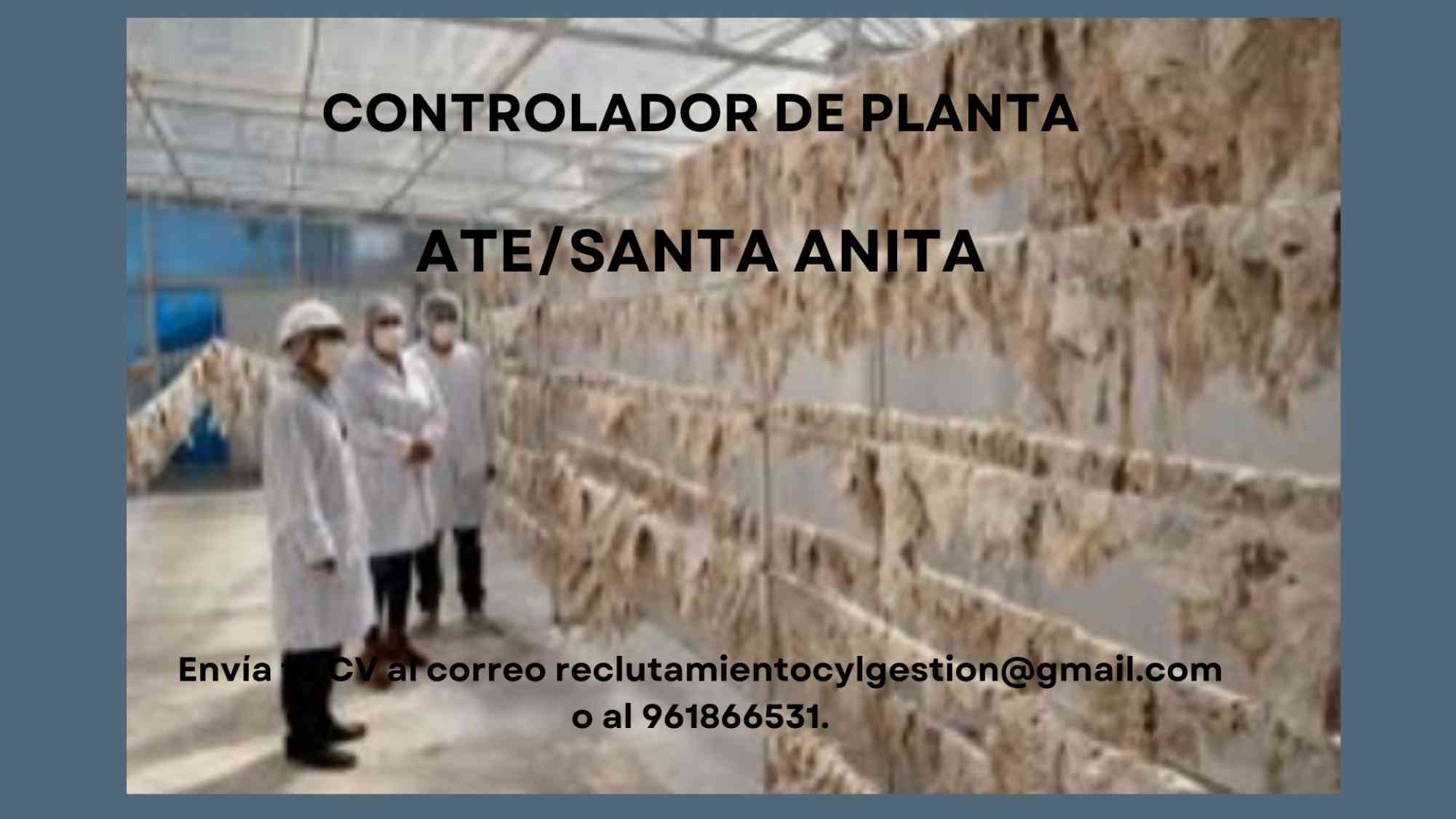 Bolsa de trabajo y anuncios de empleos en Perú., CONTROLADOR DE PLANTA
