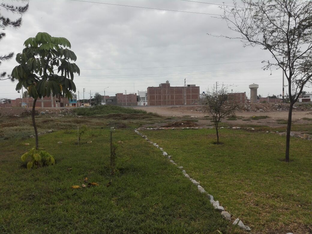 Anuncio claasificado de OCASION SE VENDE TERRENO EN URB LA PURISIMA en Chiclayo en Chiclayo